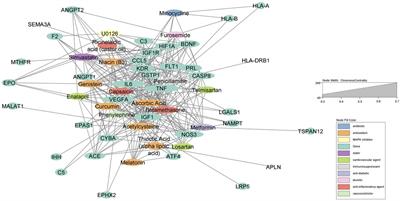 Identifying novel candidate compounds for therapeutic strategies in retinopathy of prematurity via computational drug-gene association analysis